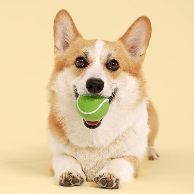 Playology Dog Toys | Squeaky Chew Ball for Dogs | Sweet Potato Scented Medium Dog Ball | Bouncy Floating Chew Toys for Fetch