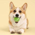 Playology Dog Toys | Squeaky Chew Ball for Dogs | Sweet Potato Scented Medium Dog Ball | Bouncy Floating Chew Toys for Fetch