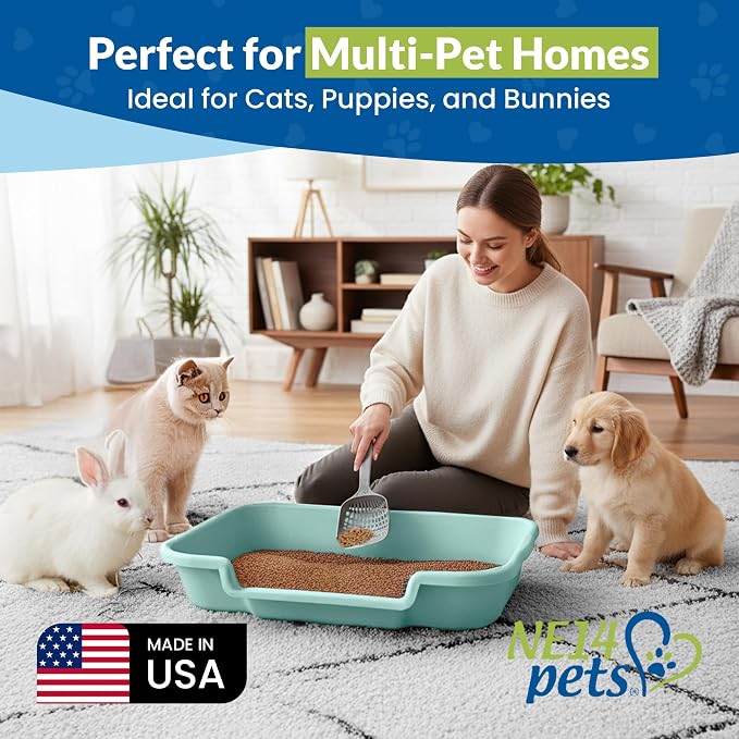 KittyGohere Senior Cat Litter Box Large with Scoop, 2 Pack Green | Open Top Low Entrance Kitty Litter Box With Long-handle Jumbo Scoop, Lightweight Low Entry Litters Box, Durable, Made in USA