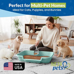 KittyGohere Senior Cat Litter Box Large with Scoop, 2 Pack Green | Open Top Low Entrance Kitty Litter Box With Long-handle Jumbo Scoop, Lightweight Low Entry Litters Box, Durable, Made in USA