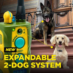 Dogtra E-Collar Tom Davis 280C 2.0 [2025 Edition], Boost & Lock, Waterproof, 1/2-Mile Range Dog Training Collar with Remote, Rechargeable, 127 Levels, Vibration, Bungee, No Bad Dogs Trainers