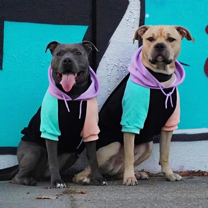 Spark Paws Dog Hoodie – Premium Dog Sweater for Small, Medium, and Large Dogs | Warm Outfits for French Bulldogs, Pitbull, Puppy, Winter Jacket Alternative - Cyber Punk - S