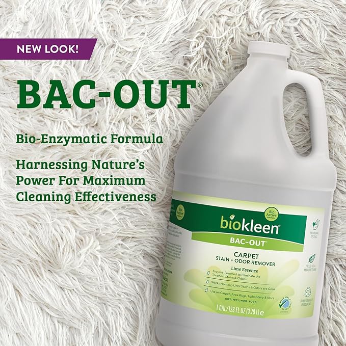 Biokleen Bac-Out Carpet Stain Remover Enzymatic, Destroys Stains & Odors Safely, for Pet Urine, Laundry, Diapers, Wine, Carpets, More, Eco-Friendly, Plant-Based