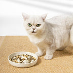 Slow Feeder Bowl for Cats and Small Dogs,Cilkus Fish Pool Design, Fun Interactive Bloat Stop Puzzle Feeder Bowl Healthy Eating Diet Made of Melamine Food Grade Material