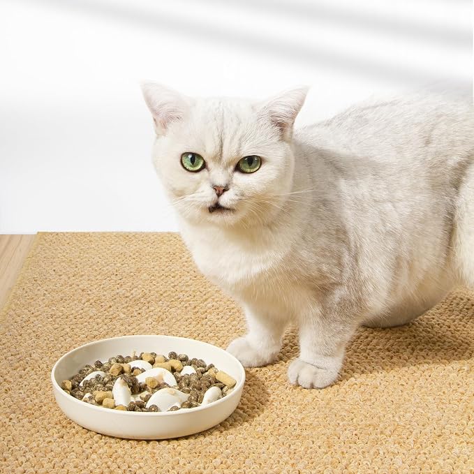 Slow Feeder Bowl for Cats and Small Dogs,Cilkus Fish Pool Design, Fun Interactive Bloat Stop Puzzle Feeder Bowl Healthy Eating Diet Made of Melamine Food Grade Material