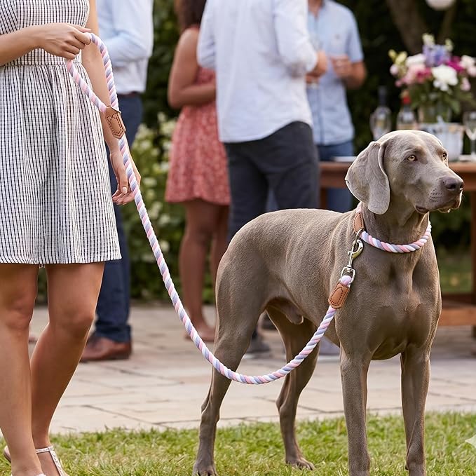 Mile High Life Rainbow Dog Leash Braided Cotton Rope w Leather-Wrapped Ends | Rust-proof 360° swivel clasp, Heavy-duty for medium/large breeds. Great for weddings, daily walks (5FT, 1/2", Pink/Purple)