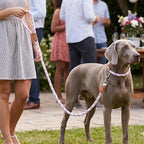 Mile High Life Rainbow Dog Leash Braided Cotton Rope w Leather-Wrapped Ends | Rust-proof 360° swivel clasp, Heavy-duty for medium/large breeds. Great for weddings, daily walks (4FT, 1/2", Pink/Purple)