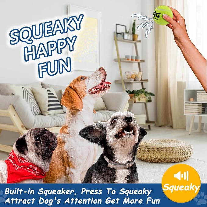 INSUM Squeaky Tennis Balls for Dogs 6 Pack 2.5" Squeaky Balls for Dogs | SGS Non-Toxic Test Pass, Multi Bright Colors Perfect for Outdoor & Indoor Play