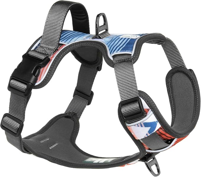 Embark Adventure Small Dog Harness – No-Pull, Reflective Trim, Military-Grade Nylon, Front Clip with Gel-Lined Handle