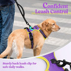 rabbitgoo Dog Harness, No Pull for Small Dogs with 2 Leash Clips, Pet Vest | No Choke with Handle, Adjustable Soft Padded, Reflective, Easy Control for Walking, Purple & Yellow, Small