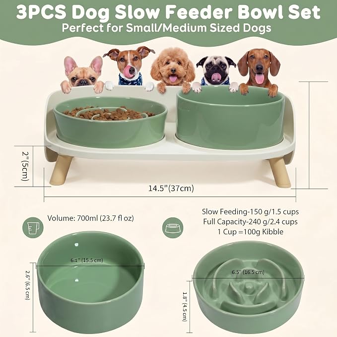 Elevated Slow Feeder Dog Bowls with Splash Proof Stand, Slow Eating 5X | 6.5″ Dog Slow Feeding Bowls & 6.1″ Dog Food Dish, Non-Slip Raised Food and Water Bowl Set for Small and Medium Breeds, Green