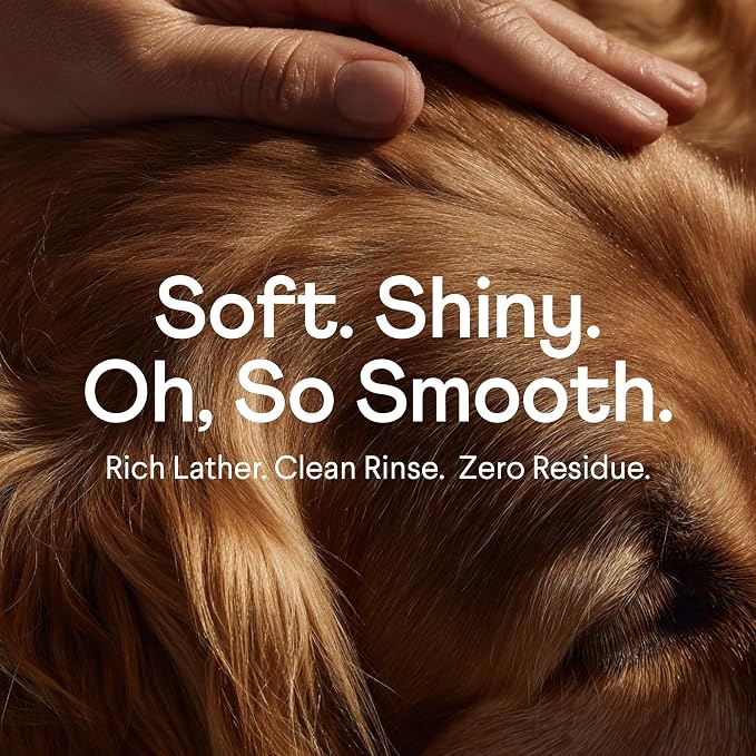 Finn Fur Hero Oatmeal Dog Shampoo - Itchy Skin Relief - Sulfate-Free | Aloe, Chamomile & Witch Hazel - Sensitive Skin - Paraben & Perfume-Free - Aluminum Bottle