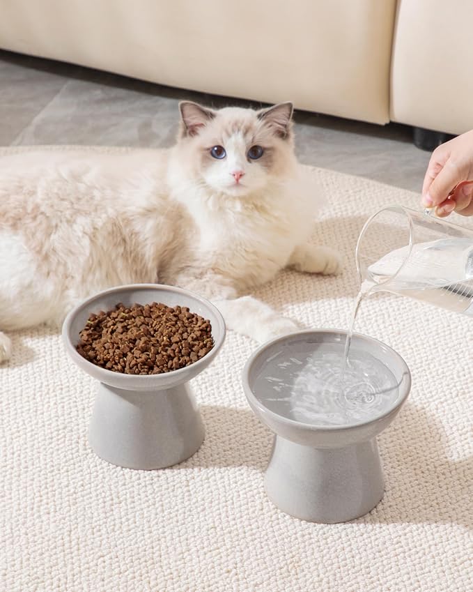 vancasso Ceramic Elevated Cat Bowls 2-Pack - 6.2" Extra Wide Raised Cat Food & Water Dishes, 5.1" Optimal Height Anti-Whisker Fatigue Shallow Bowls for Cats/Kittens/Dogs, Lead & Cadmium Free (Grey)