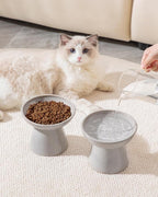 vancasso Ceramic Elevated Cat Bowls 2-Pack - 6.2" Extra Wide Raised Cat Food & Water Dishes, 5.1" Optimal Height Anti-Whisker Fatigue Shallow Bowls for Cats/Kittens/Dogs, Lead & Cadmium Free (Grey)