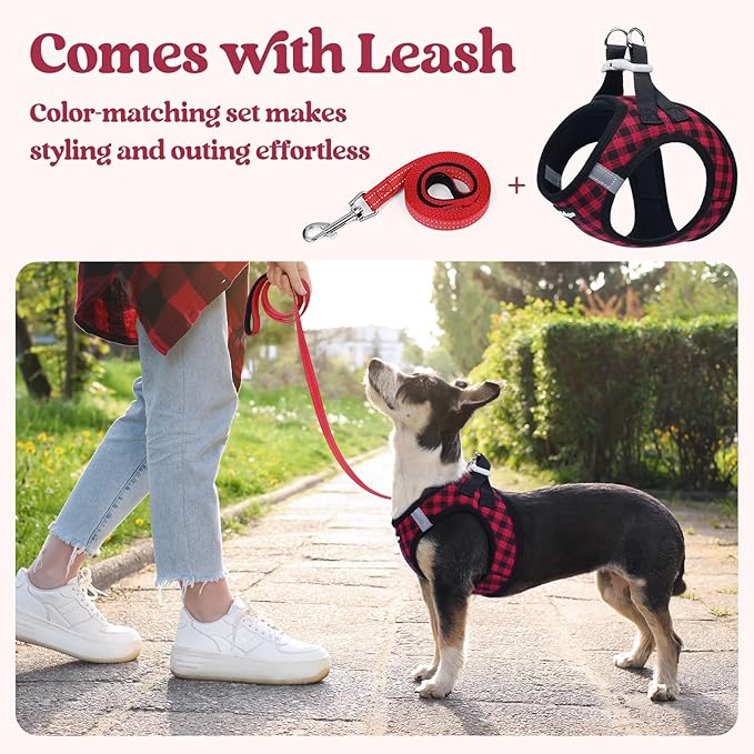 rabbitgoo Dog Harness Medium Sized and Leash Set, Step-in Puppy Pet Vest | Light, Soft, Breathable Air Mesh, Easy on and Remove with Hook & Loop, Secure Reflective for Walking, Red Check L