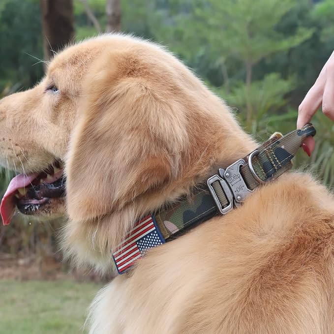 Tactical Nylon Collar - Heavy Duty Metal Buckle with Handle for Dog Training, with Patches (Camo, M)