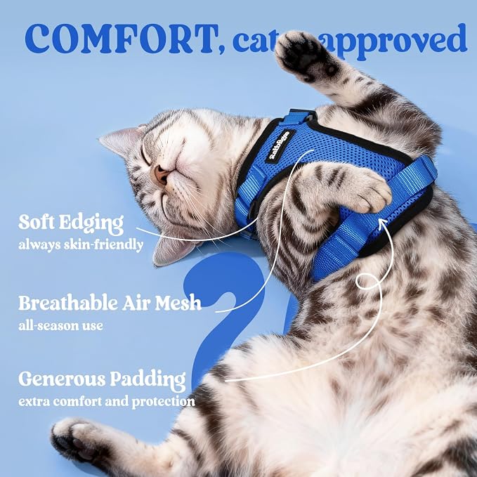 rabbitgoo Cat Harness and Leash Set, Escape Proof Vest, Navy Blue | Soft Breathable Mesh, Easy Adjustable Fit, Snap Buckles, Sturdy Clip, Reflective Strips, for Medium to Large Cats Walks, M