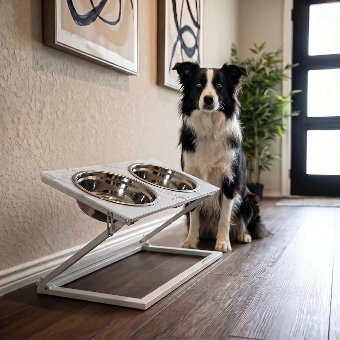 Elevated Dog Bowl, Adjustable Height and Tilt Angle Dog Bowl Stand | Precisely Adjust Height And Tilt Angle, Easy To Clean, Equipped With 2 Stainless Steel Food Bowls, Sturdy And Durable.