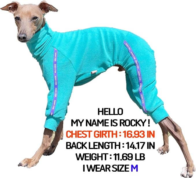 D Doggy Star Italian Greyhound Clothes Stretchy Towel Sports Onesie Outfit Whippet for Dog Coat (XL,TWL Turquoise)