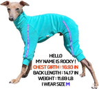 D Doggy Star Italian Greyhound Clothes Stretchy Towel Sports Onesie Outfit Whippet for Dog Coat (M,TWL Turquoise)
