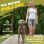 Fida Durable Slip Lead Dog Leash Bulk Pack of 5, Heavy Duty 1/2" x 6 FT Comfortable Strong Rope Slip Lead for Large, Medium & Small Dogs No Pulling Pet Training Leash with Highly Reflective (Black)