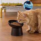 Ceramic Raised Cat Bowls - Elevated Tilted Cat Food and Water Bowls, Anti Vomiting and Protect Pets' Spines Pet Feeding Dish for Cats, Dishwasher Microwave Safe (1 x Bowl - Black)