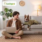 LovinPet Big Dog Pajamas, Cotton Brown and Green Stripe Dog Shirt, Stop Shedding for Dogs, Pet Pajamas for Dogs, UV Protection, Pitbull Clothes, Pet PJ's, M