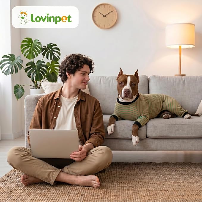LovinPet Big Dog Pajamas, Cotton Brown and Green Stripe Dog Shirt, Stop Shedding for Dogs, Pet Pajamas for Dogs, UV Protection, Pitbull Clothes, Pet PJ's, M