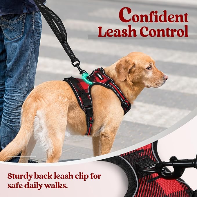 rabbitgoo Dog Harness, No Pull for Small Dogs with 2 Leash Clips, Pet Vest | No Choke with Handle, Adjustable Soft Padded, Reflective, Easy Control for Walking, Red Plaid, Small
