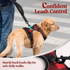 rabbitgoo Dog Harness, No Pull for Large Dogs with 2 Leash Clips, Pet Vest | No Choke with Handle, Adjustable Soft Padded, Reflective, Easy Control for Walking, Red Plaid, Small
