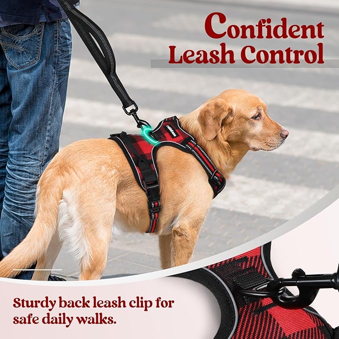 rabbitgoo Dog Harness, No Pull for Large Dogs with 2 Leash Clips, Pet Vest | No Choke with Handle, Adjustable Soft Padded, Reflective, Easy Control for Walking, Red Plaid, Small