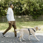 S-ETOVUS-Chain Dog Leash, Bite-Proof Metal Leash, with Padded Handle | Three Sizes 7.25FT/5.2FT/4FT, Woven From Nylon Rope And Chain, Durable And Bite-Resistant, Comfortable With Padded Handles.
