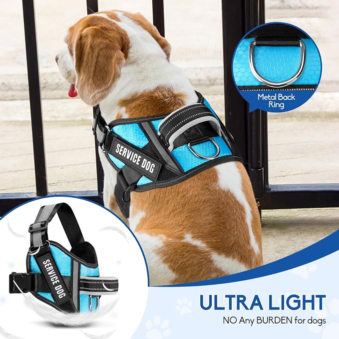 Service Dog Vest Harness and Leash Set, Animire in Training Dog Harness with 10 Dog Patches, Reflective Dog Leash with Soft Padded Handle for Dogs (Light Blue,Xs)