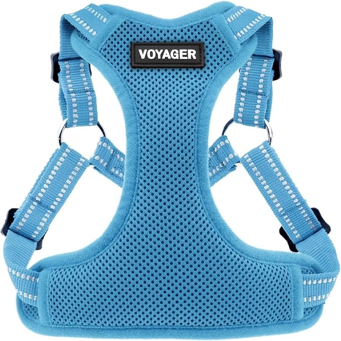 Voyager Step-in Flex Adjustable Dog Harness - Baby Blue, Medium | 17 - 21" in Chest, Fully Adjustable, Reflective Bands, All Weather Breathable Air Mesh, Lightweight, Fast Drying