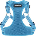 Voyager Step-in Flex Adjustable Dog Harness - Baby Blue, Small | 15 - 18" in Chest, Fully Adjustable, Reflective Bands, All Weather Breathable Air Mesh, Lightweight, Fast Drying