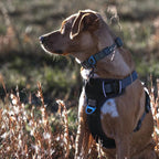 Embark Adventure Dog Harness, Reflective Trim No Pull Dog Harness Medium Sized - Military Grade Nylon, Front Clip with Gel Lined Handle. Soft & Padded Puppy Harnesses for Any Breed