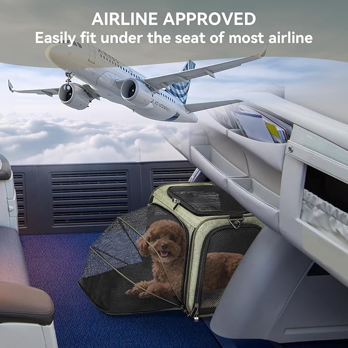Petsfit Medium Expandable Cat Carrier for Air Travel, Up to 13 lb | 17 x 11 x 11 in; sized for Delta Air Lines, with locking zippers, a handy D-ring, large pocket and multi-side ventilation.