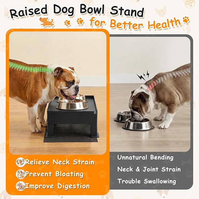 Elevated Dog Bowl Stand and Waterproof Non Slip Mat,1 Set,No Absorbent Pad | Reduce Neck, Joint and Spinal Strain, Sturdy Legs, Easy Clean Silicone Pet Food Mat, For Small & Medium Dogs, Cats