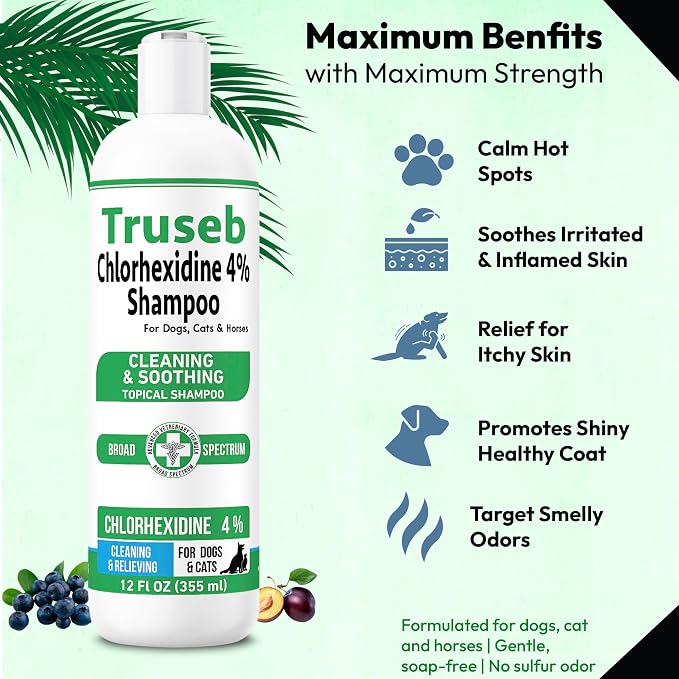 Truseb Topical Chlorhexidine 4% Shampoo for Dogs, Cats, and Horses with Plum/Blueberry Scent - 12 oz - Made in U.S.A (Chlorhexidine 4% Shampoo, 12 oz)