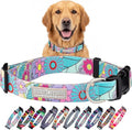 Lucky Love Dog Collars, Cute Large Dog Collars for Female Dogs, Part of Purchase Donated to Rescue (Large, Caroline, Collar)