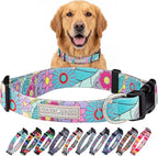 Lucky Love Dog Collars, Cute Large Dog Collars for Female Dogs, Part of Purchase Donated to Rescue (Large, Caroline, Collar)