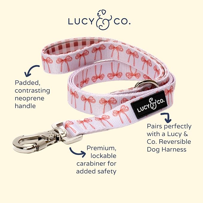 Lucy & Co. Designer Dog Leash - Pet Accessories - Thick Dog Leash - Padded Handle for Comfort - Ballet Bows - 5 Foot (White & Pink Bows, Small)