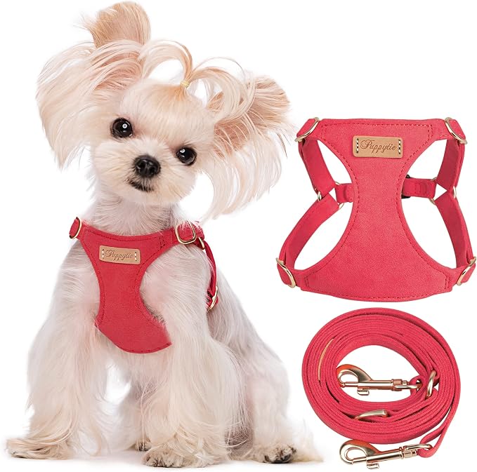 Puppytie XXS Puppy Harness and Leash Set, Red Camellia, XXS (2.2–6 lbs) | Puppy Harness for Small Dogs, Teacup and Yorkie Harness, Soft Lightweight and Adjustable, Small Puppy Harness for Daily Walks