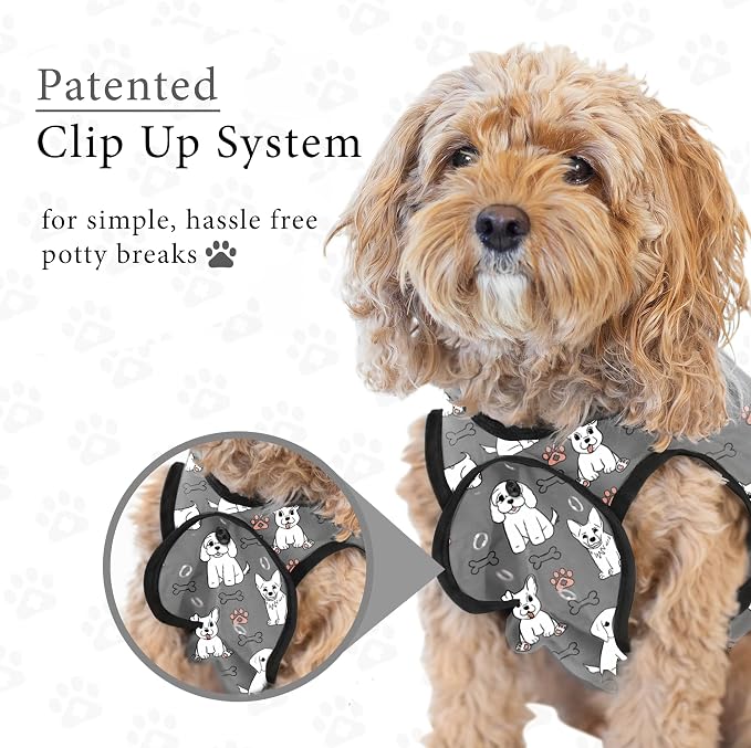 BellyGuard Dog Surgery Recovery Suit, Post-Op Dog Recovery Suit for Female Spay & Male Neuter, Comfy Onesie for Pets, Surgical Body Cover for Canine Healing Support