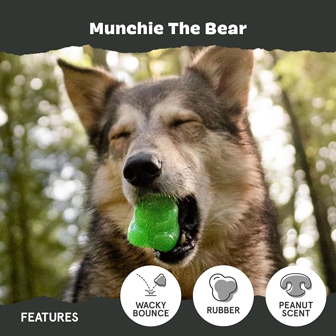 BarkBox Munchie The Bear Dog Toy - for Dogs up to 20 lbs - Small | for Treat Dispensing and Bouncing