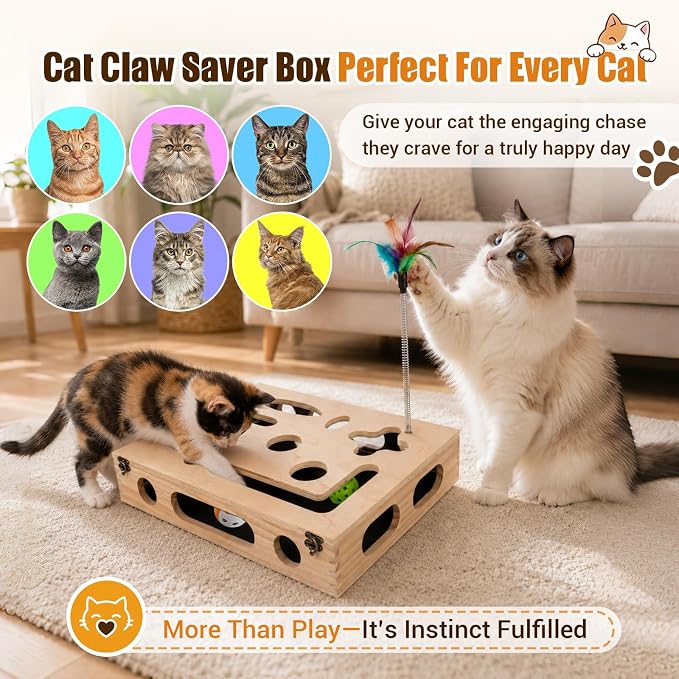 Cat Scratch Puzzle Enrichment Box, Wooden Interactive Toy for Indoor Cat | Cat Nail File Scratcher Box Include 2 Feather Wands & 3 Bell Balls, Claw Saver Box with Sandpaper Nail Trim for Cats & Kitten