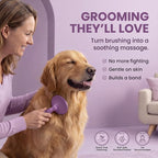 Round Bristle Pet Brush for Dogs and Cats - Soft Dog Brush for Grooming Short or Long Hair - Gentle Tool for Sensitive Skin Removes Dander, Dirt, and Detangles (Purple)