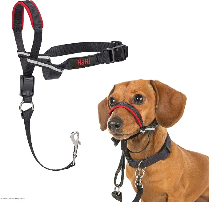 Halti Optifit Headcollar - Stop Your Dog Pulling on the Leash. Adjustable, Reflective and Lightweight, with Padded Nose Band. Dog Training Anti-Pull Collar for Small Dogs (Size Small) | Stop Your Dog Pulling on the Leash | Professional Anti-Pull Traini...