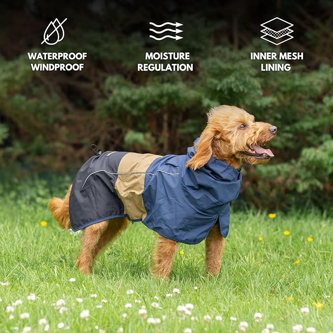Spark Paws Dog Raincoat, Waterproof Windproof Rain Jacket, for Small Medium Large Extra Large Dogs, Reflective Breathable Full-Body Coverage Dry Suit - Blue Gold Black - M
