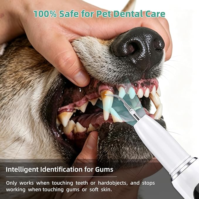 Dog Plaque Remover for Teeth, Pet Ultrasonic Tooth Cleaner Kit, 5 Adjustable Modes Dog Teeth Cleaning Kit with LED Light, Dental Tools, Tartar and Stain Remover for Dogs and Cats (White)